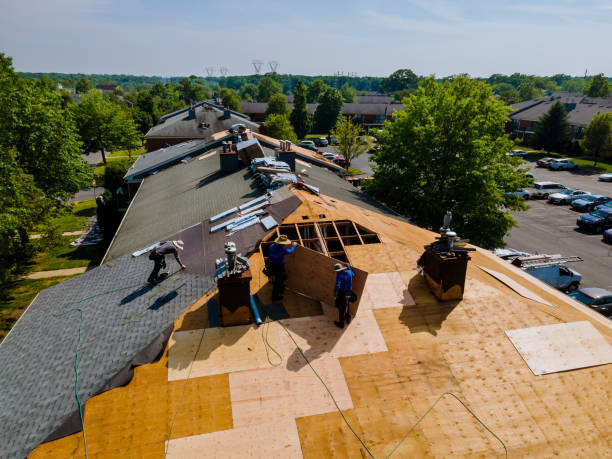 24/7 Emergency Roof Installation experts in Warren, TX